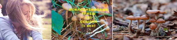 гидропоника Арсеньев