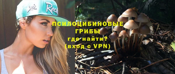метадон Аркадак