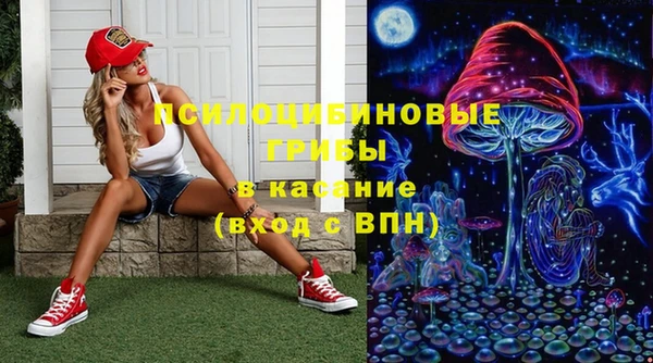 гидропоника Арсеньев